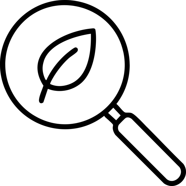 WEBSITE ic-ACF Investigates