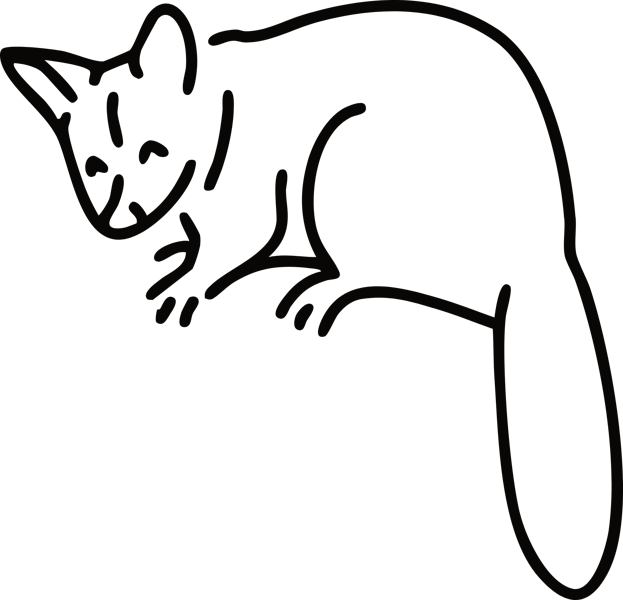 Pygmy possum icon - Web Nav