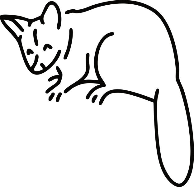 Pygmy possum icon - Web Nav