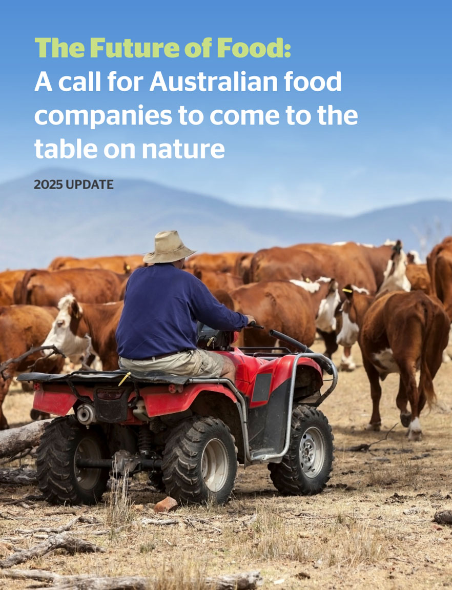Future of Food report cover