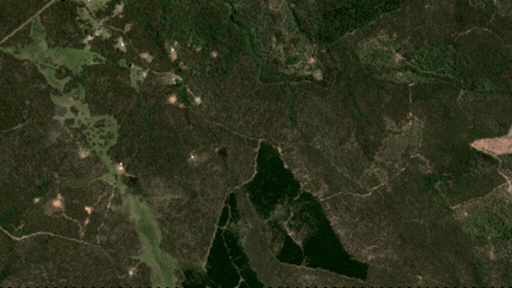 CSI guidance model map - plantation