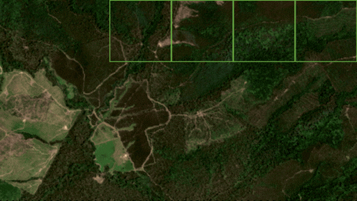 CSI guidance model map - strip cutting/clearing