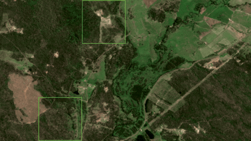 CSI guidance model map - patch clearing/cutting