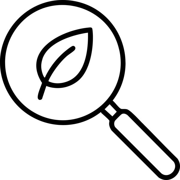 WEBSITE ic-ACF Investigates