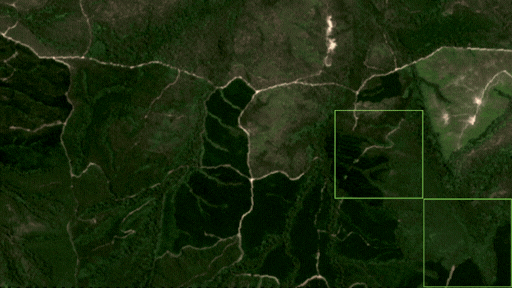 CSI guidance model map - clearfelling