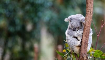 A vibrant graphic with text and shapes, possibly a design or poster.