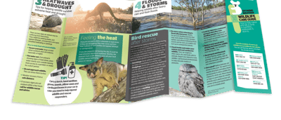 Pamphlet mockup, open, showing front and back cover designs. White background.