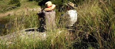 Woman tending a garden, wearing gloves, with plants and soil visible.