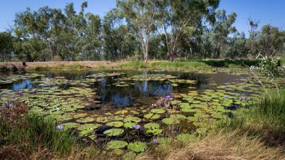Doongmabulla Springs header image: lush green landscape, water, mountains, blue sky.