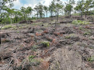 Wyaralong QLD DJI_0400