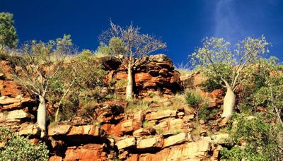 Header image: North direction, blue sky, white clouds, green trees, and a mountain range.