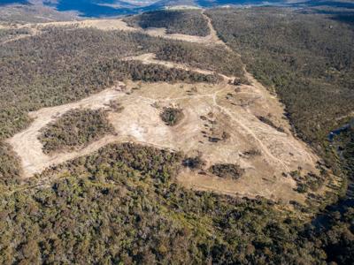Drone view: Lush green valley, river, trees, and a small town.