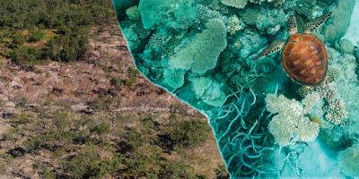 header_Reef-Deforestation-Split
