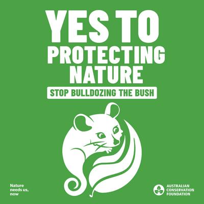 ACF election social tile: Australian flag, text, voting graphic, blue background.