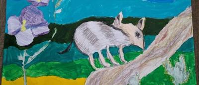 Magic Blossoms and Bandicoot Friends, Suri, a colorful illustration.