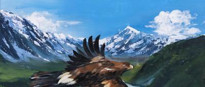 Runner up photo: Tasmanian eagle, Caleb, in flight, free and fearless.