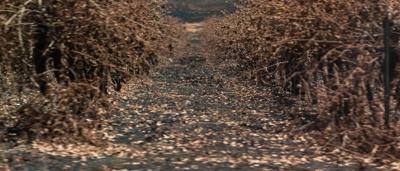 20260119 Jim Billings Home Bushfire in Avenel VIC-83