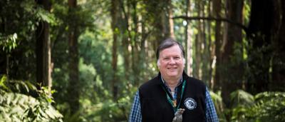 Forest tour group, Steve Meacher leading, Toolangi forest, walking path.