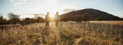 People hiking in a forest, sunny day, trees, nature.