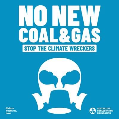 ACF election social tile: blue background, text, graphic elements, Australian flag.