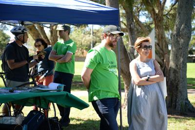 Green forest canopy, sunlight filtering through leaves.