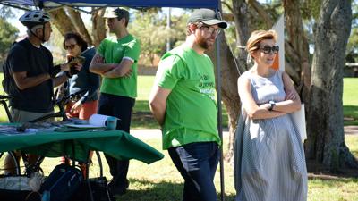Green forest canopy, sunlight filtering through leaves.