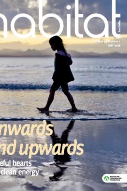 Header image: Forest canopy, lush green trees, sunlight filtering through leaves.