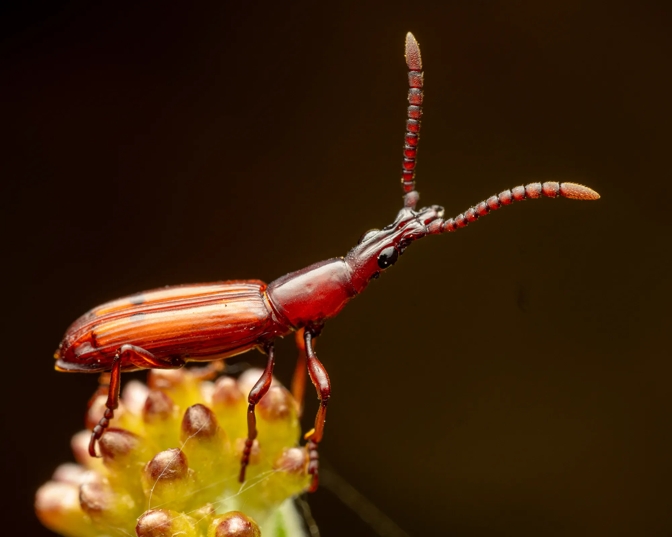 Nature protection and climate action essential for increased productivity
