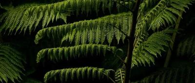 Woman in a blue shirt, smiling, holding a microphone, speaking at an event.
