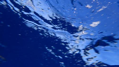 Abstract underwater scene