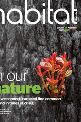 Header image: Lush green forest canopy, sunlight filtering through leaves.