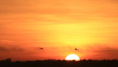 Sunrise over a landscape with a canopy, orange and yellow hues.