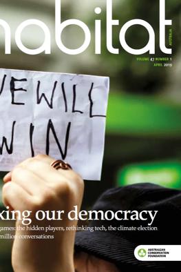 Header image: Lush green forest canopy, sunlight filtering through leaves.