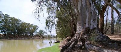 River junction, two waterways meet, brown and blue water, landscape.