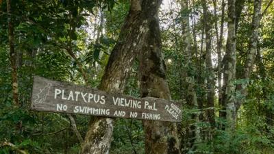 A colorful graphic with text and shapes, likely a design or illustration.