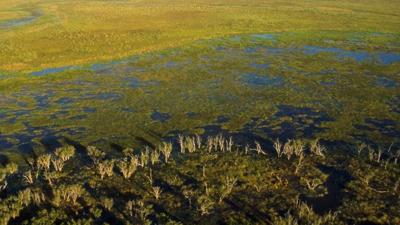 Cape York landscape, green vegetation, blue sky, clouds, and a mountain range.