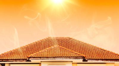 Woman in a white coat, holding a plant in a lab, with scientific equipment.