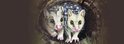 Header image: "Wild at Art 2023" text, colorful abstract art background.