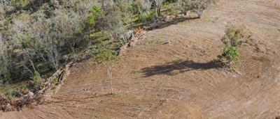 Header image: Forested landscape, Nandewar, Australia. Land clearing visible, sky.