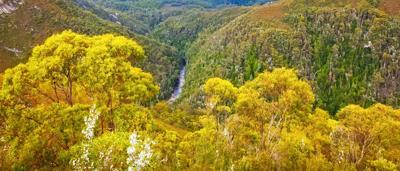 Post-Win Franklin River, Gordon River confluence. Aerial view of rivers and surrounding landscape.