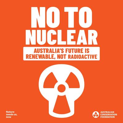 ACF election social tile: blue background, text, logo, graphic elements.