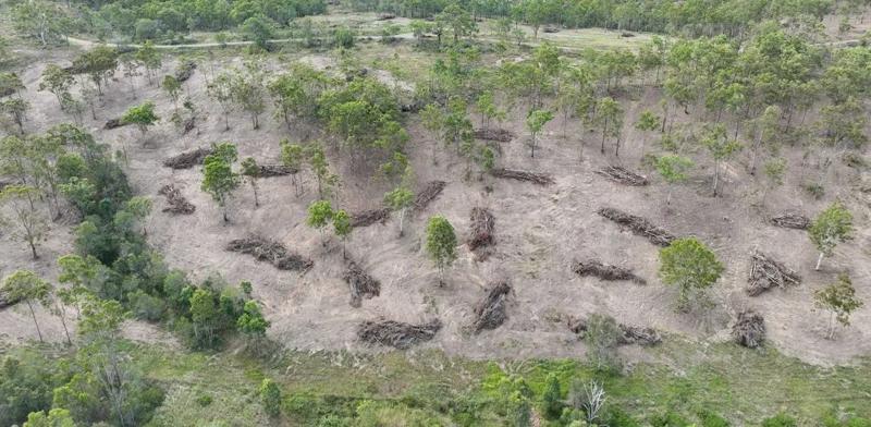 ACF identified over 50 hectares of land clearing, with over 47 hectares meeting the threshold for deforestation.