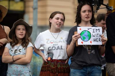 Header image: Australian rainforest canopy, green foliage, sunlight filtering through.