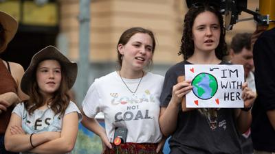 Header image: Australian rainforest canopy, green foliage, sunlight filtering through.