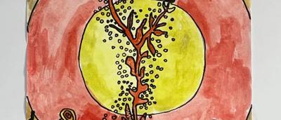 Bottle brush flowers under sun, runner-up photo.