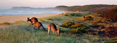 Header image: Kangaroo Beach, ocean, sand, blue sky, and a few clouds.