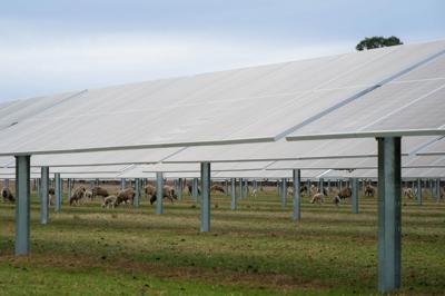Solar farm panels under a blue sky.