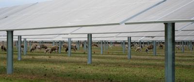 Solar farm panels under a blue sky.