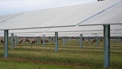 Solar farm panels under a blue sky.