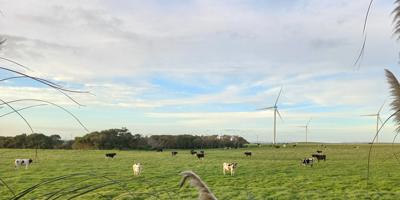 Header image: Person windsurfing, blue sky, ocean.